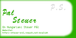 pal steuer business card